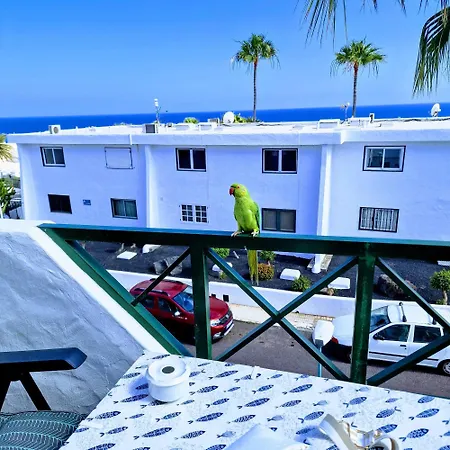 Floor Ocean Views Lanzamar - Renovated Gem With A Sunny, Private Terrace & Elevator & Pool - Apartment Puerto del Carmen (Lanzarote)
