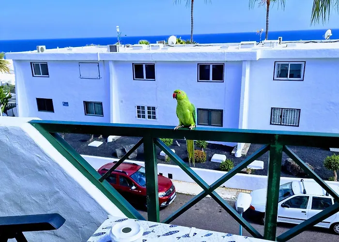 Floor Ocean Views Lanzamar - Renovated Gem With A Sunny, Private Terrace & Elevator & Pool - Apartament Puerto del Carmen (Lanzarote)